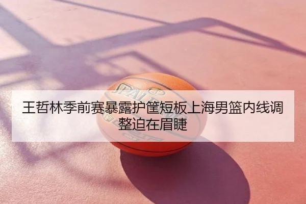 王哲林季前赛暴露护筐短板上海男篮内线调整迫在眉睫